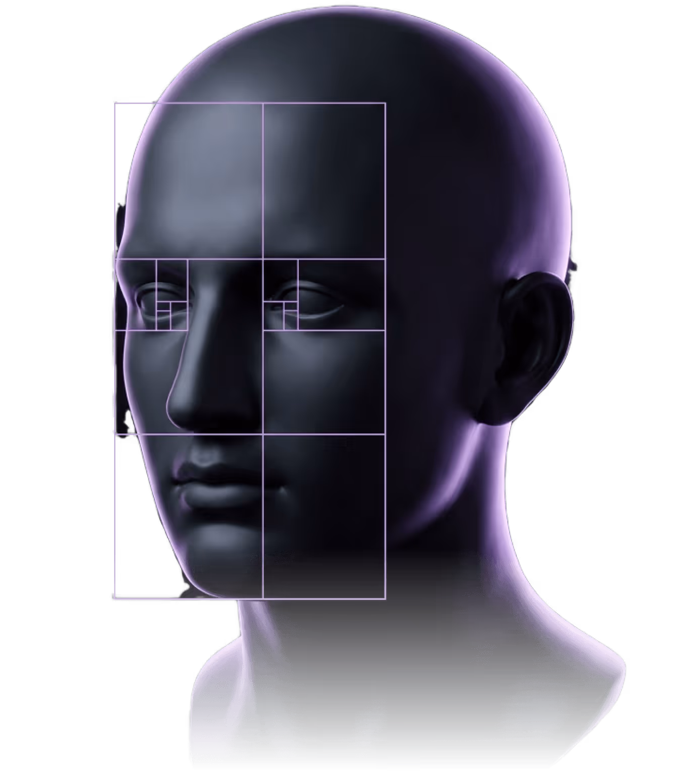 Fragmento de perfil de nariz esculpido con tres superposiciones de medición de precisión: soporte, arco angular y línea de referencia.
